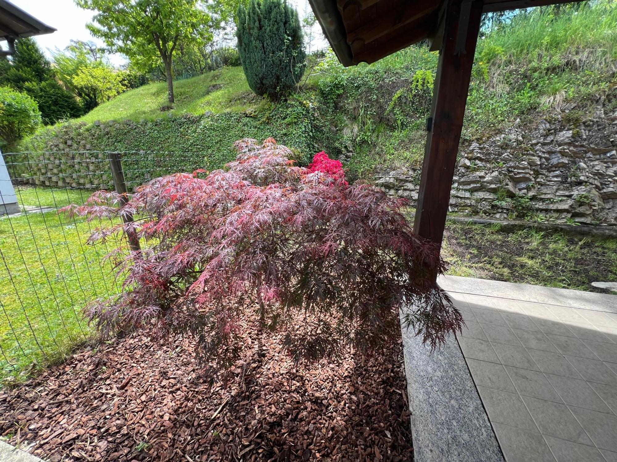 L'Acero Rosso - Giardino Privato E Box Auto Villa Menaggio Exteriör bild