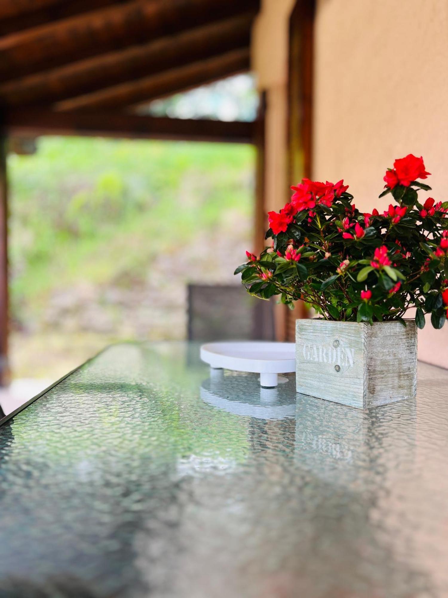 L'Acero Rosso - Giardino Privato E Box Auto Villa Menaggio Exteriör bild